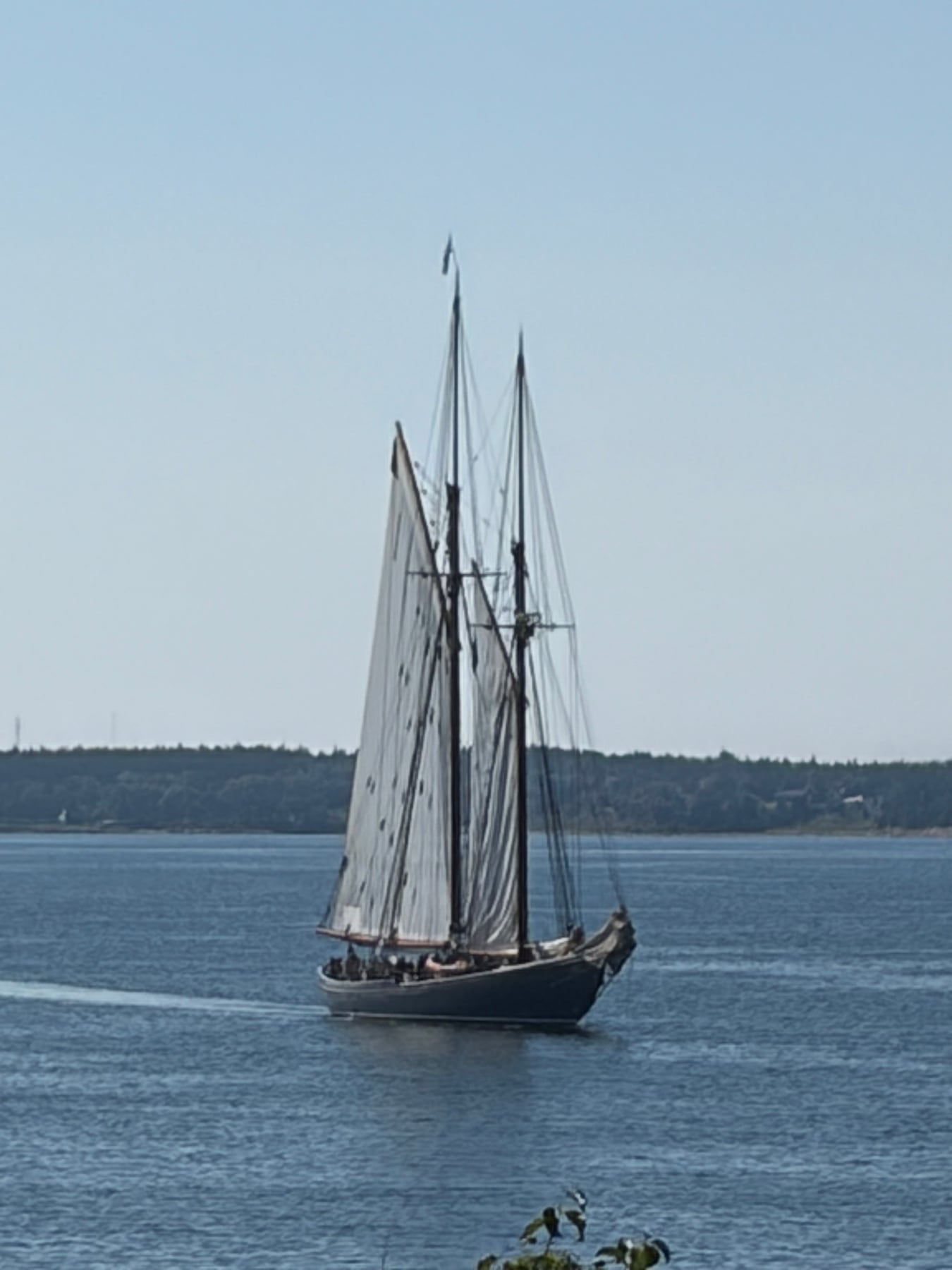 Une sortie en mer dans le port. Vue destinée aux visiteurs de ce site de Lunenburg.
